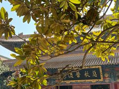 -宝通禅寺