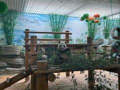 -西霞口神雕山野生动物世界