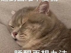 -左悦·艾灸调理·推拿按摩·精油SPA(卓悦汇店)