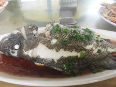 清蒸老虎斑-七鲜渔港美食餐厅(巽寮湾海景店)