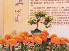 -天津水上公园