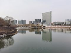 -大兴滨河森林公园