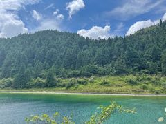 -武陵山森林公园