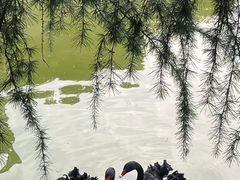 -上海虹桥迎宾馆