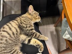 -吉友粥底火锅(方斜路店)