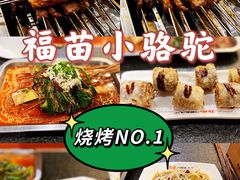 -福苗小骆驼烧烤(大唐不夜城店)