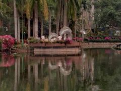 -西双版纳原始森林公园