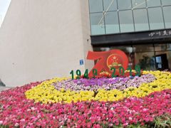 -四川美术馆