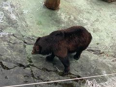 -深圳野生动物园
