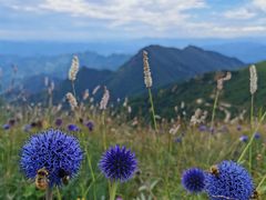 -白草畔自然风景区