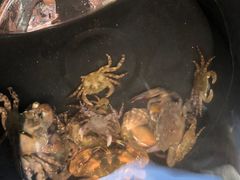 -港畔赶海蒸汽海鲜烧烤自助(仙螺岛店)