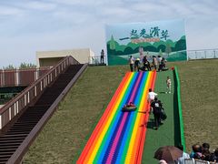 -黄海国家森林公园