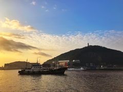 -东河市场