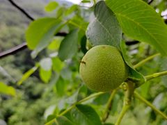 -渭河城市绿地运动公园