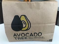 -油梨树AVOCADO TREE(嘉里中心店)