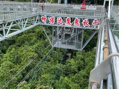 -呀诺达热带雨林