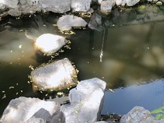 -南京市民俗博物馆(甘熙故居)
