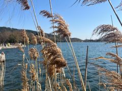 -南北湖风景区