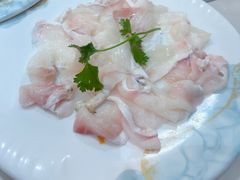-港升鱼师傅·中山脆肉鲩