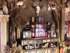 -雪灵魔法世界SHELLY’S TAROT(大良桂畔里店)