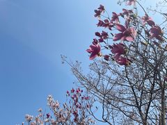 -东方熊牧场