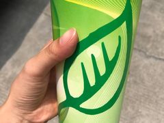 -九里香奶茶果汁(碧湖店)