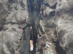 -玉石林风景区