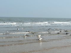 -烟台金沙滩海滨公园