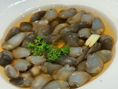 -阿毛饭店·宁波老字号(儿童公园旗舰店)