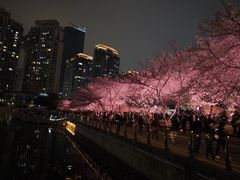 -西北湖绿化广场