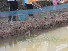 -梁子湖东篱老屋生态庄园