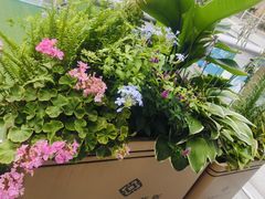 -首创奥特莱斯(北京店)