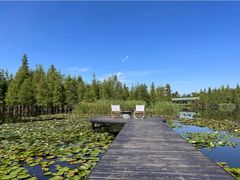 -白鹭湾湿地公园