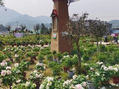 -梁野山景区