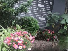 -陶然居·重庆菜(南滨路店)