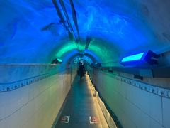 -洞庭洲·防空洞火锅·铜锅涮肉·烧烤(新百广场店)