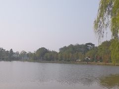-东莞植物园