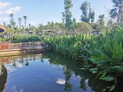 -枫香湖儿童公园