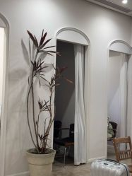 -WAVE SODA摄影工作室