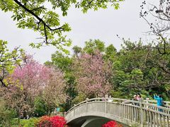 -东山湖公园