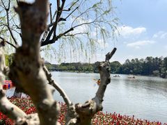 -上海鲜花港