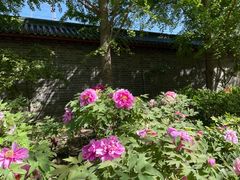 -月坛公园
