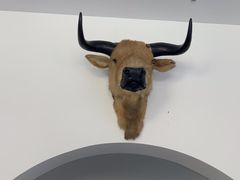 -黄牛肉馆·皖南土菜