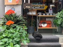 门面-唐咖精品咖啡(大理古城手冲店)