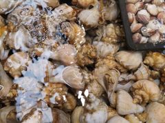 -青石桥市场北1-27号