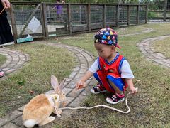 -前小桔亲子创意农场·草莓采摘·露营烧烤