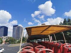 -BUS TOUR观光巴士