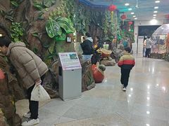 -上海大自然野生昆虫馆(东方明珠·爬宠昆虫探索中心)
