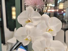 -南堂馆·新川菜(春熙路店)