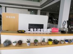 -上海先进东风标致雪铁龙4S店(青浦店)